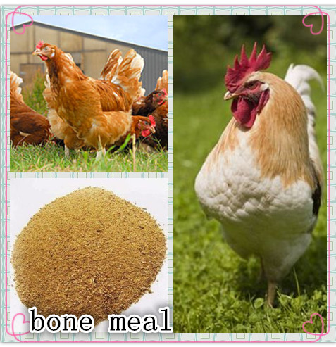 Fuente de la proteína de los añadidos del pienso de la comida con carne y hueso para el ganado/pollo 0