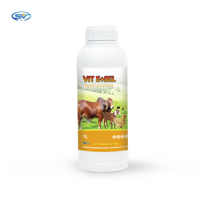 Vitamina E y medicina oral de la solución del selenio para los pequeños gatos y perros 5L 1L de los caballos de los pájaros