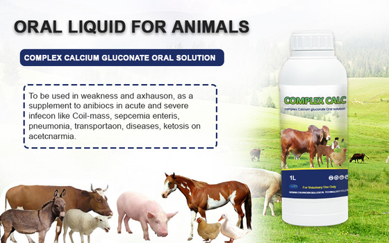Solución oral de la solución de la medicina del gluconato complejo oral del calcio para los caballos de las ovejas del ganado